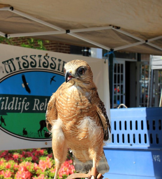 2016 04 23_0985_edited-